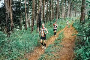 BIB: 
                            <button type="button" onclick="openModal(25681485)" class="btn btn-primary btn-sm float-right btn-popup" data-toggle="modal" data-target=".modal-high-quality">
                        <i class="fas fa-shopping-cart"></i> Add to Cart
                    </button>
                                            <button type="button" onclick="isThisMe(25681485, true)" class="btn btn-success btn-sm float-right btn-popup btn-isme hidden" data-toggle="tooltip" data-placement="bottom" title="นี่คือรูปของคุณใช่ไหม คลิกที่นี่เพื่อเอาเข้าอัลบั้ม">
                        <i class="fas fa-plus"></i> Add to album
                    </button>
                    <button type="button" onclick="isThisMe(25681485, false)" class="btn btn-warning btn-sm float-right btn-popup btn-isnotme hidden">
                        <i class="fas fa-ban"></i> Remove from album
                    </button>